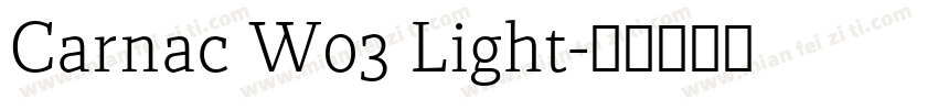 Carnac W03 Light字体转换